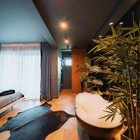 Apartman Shades Of Napoca - Artitude