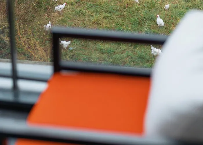 Shades Of Napoca - Artitude Kluž