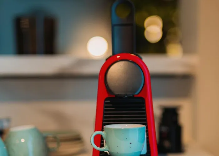 Shades Of Napoca - Artitude *